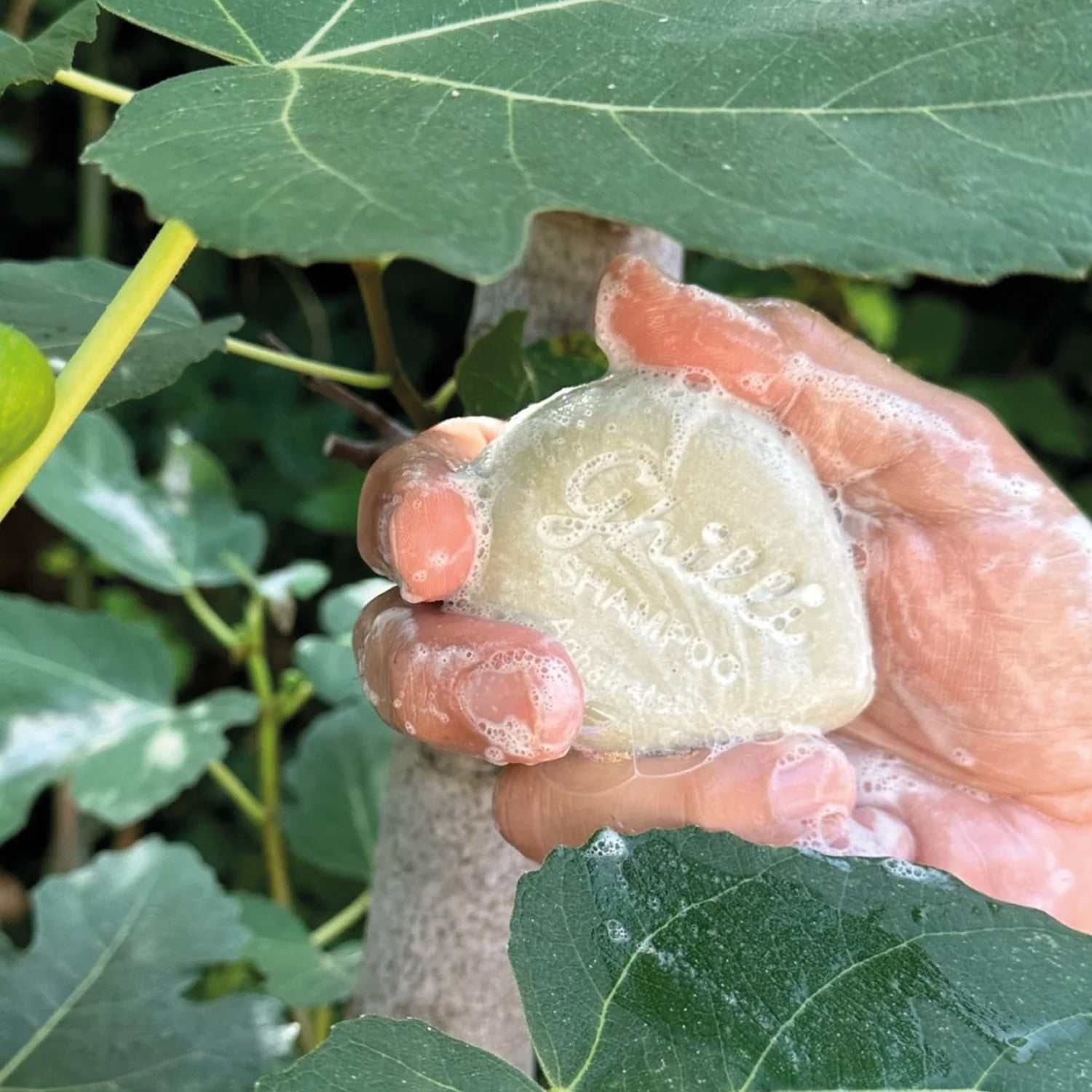 Shampoo Bar Aghali Mari von Ghilli in Seifenfrei-Form mit natürlichem Schaum, revitalisiert fettiges Haar mit Duftnoten von Feige, Kardamom und Matcha.