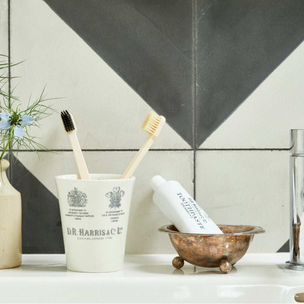 Fluoride-Free Spearmint Toothpaste - D.R. Harris – Mootes