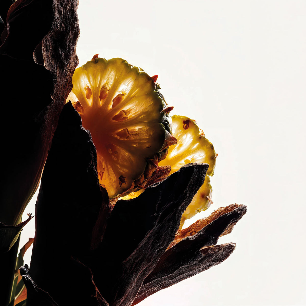 HEADSPACE Oud – Oudholz und Ananas